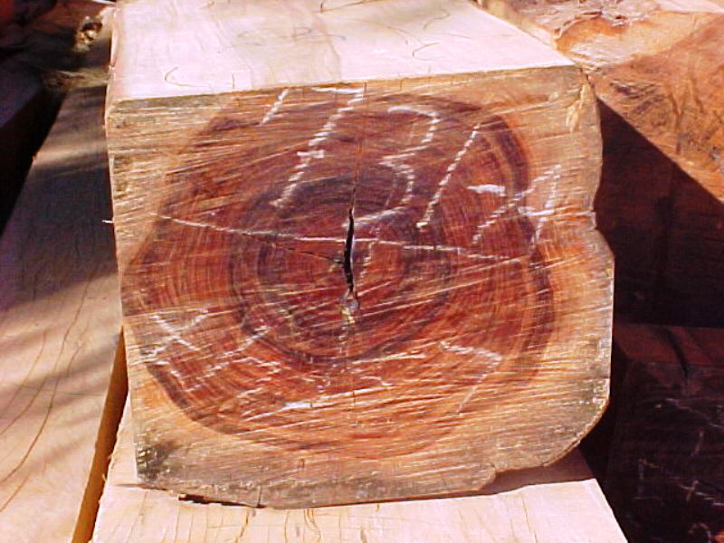 قیمت چوب ساج