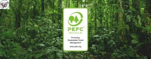 استاندارد pefc در حفظ و نگهداری محیط زیست و جنگلداری