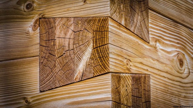 تصاویر زیبا و جذاب از هنر نجاری و دکوراسیون ساخته شده از چوب طبیعی
