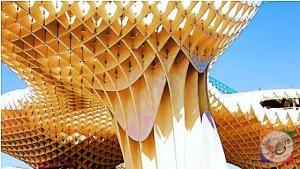 بزرگترین سازه چوبی الاچیق (سایبان ) جهان