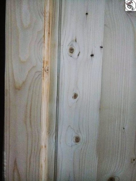 درب چوب روسی٬ درب چوب کاج٬ درب چوبی