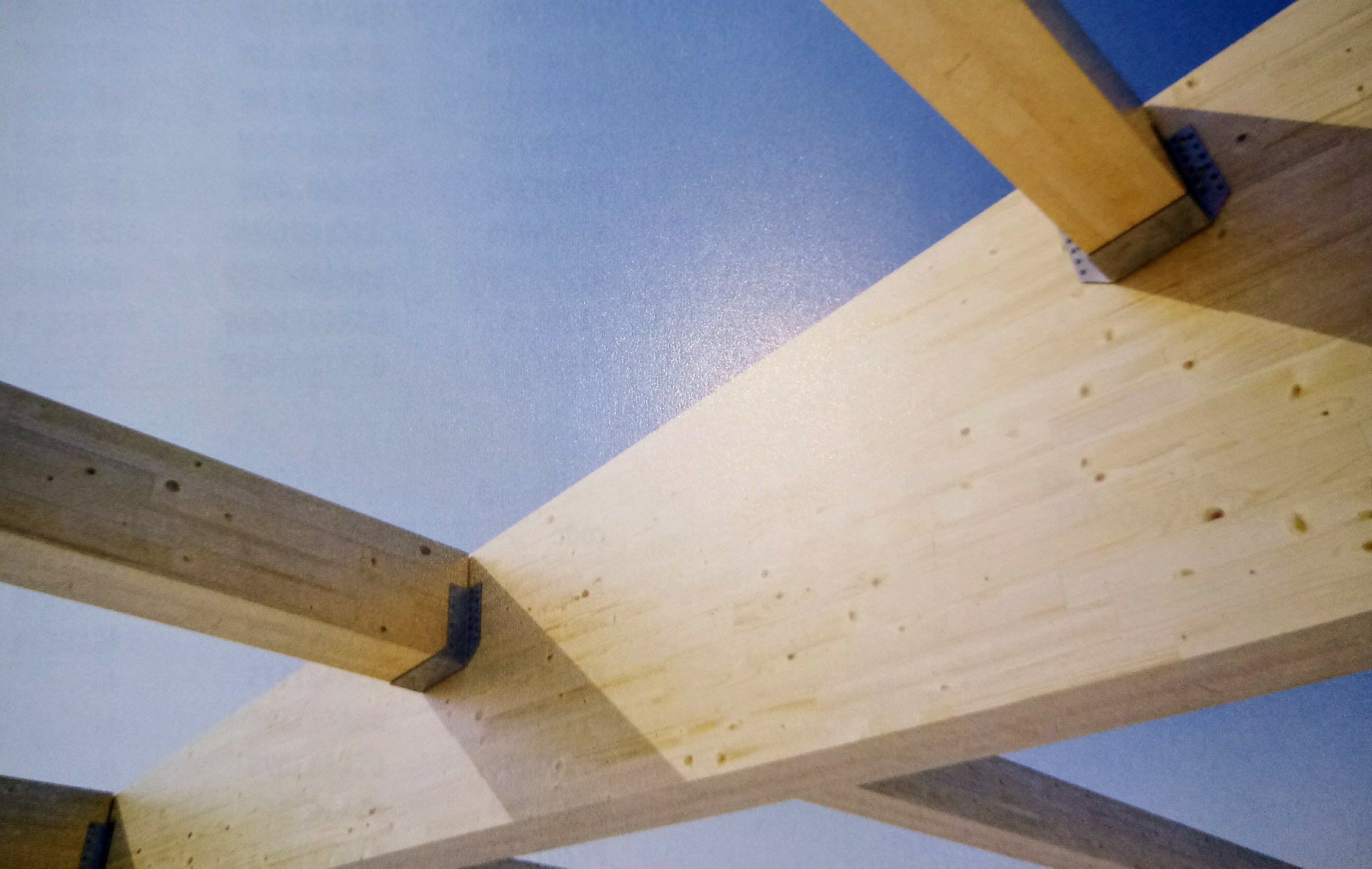ساخت سازه های چوبی عظیم