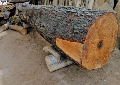 کنده درخت چوب توسکا , تخته جنگلی مناسب میز , اسلب چوب