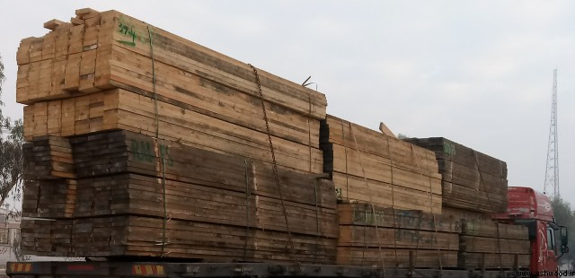 چرا بازار چوب ایران در دستان روسیه و چین است؟