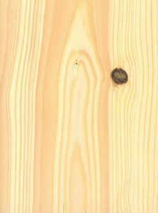 چوب کاج , مشخصات چوب درخت کاج , خواص چوب کاج , برش چوب کاج , فروش چوب کاج , قیمت هر متر مربع چوب روسی