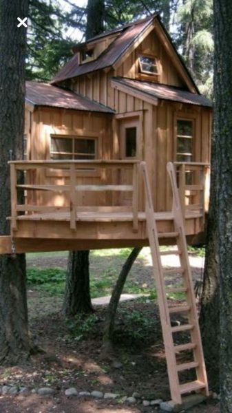 بهترین ایده های کلبه چوبی روی درخت ، خانه درختی 