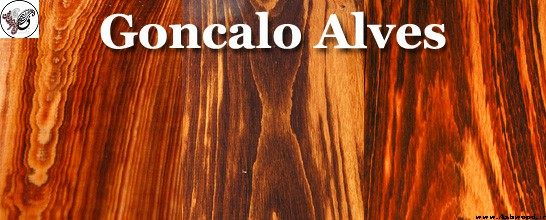 Goncolo Alves - آمریکای جنوبی - چوب گونزالو آلوز یا چوب ببر 