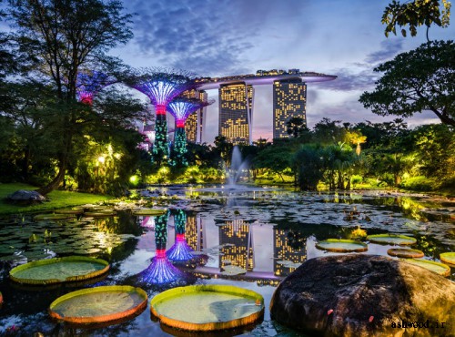 باغ برجهای گیاهی در سنگاپور