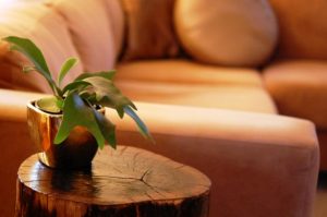 ایده های جدید و منحصر به فرد برای تنه درخت در دکوراسیون داخلی منزل ، سبک روستیک