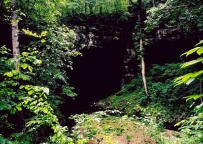دهانه یک غار در آلاباما