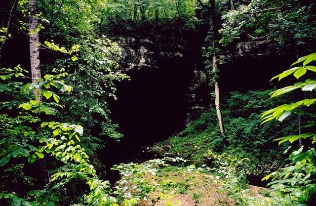 دهانه یک غار در آلاباما