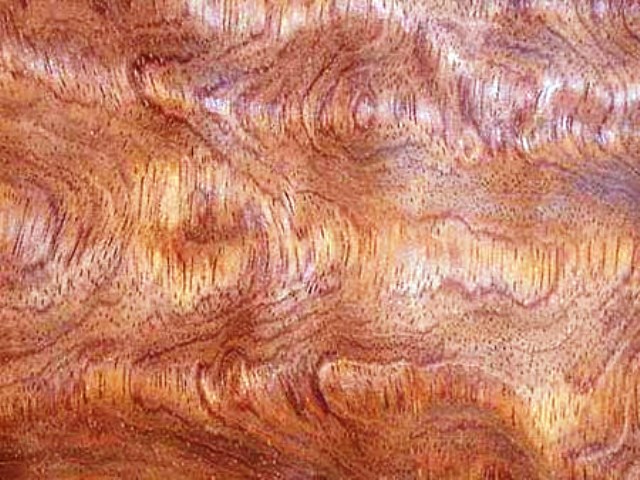 دکوراسیون چوبی Veneer Kewazinga روکش چوب طبیعی