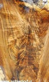 چوب های گردو با طرح جناغی بصورت طبیعی