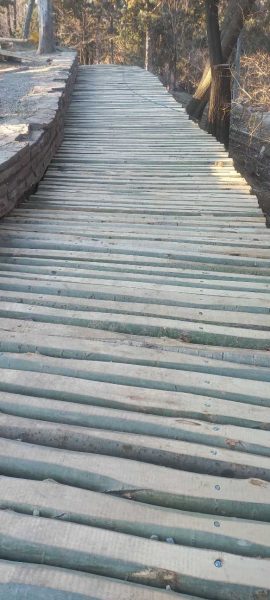 راه چوبی