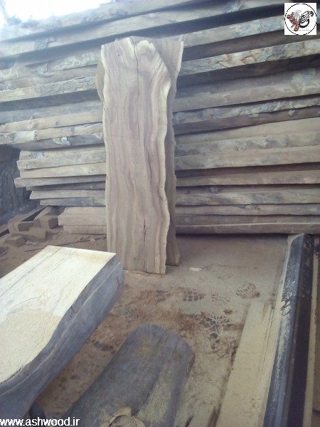چوب زردالو ، تخته و الوار بسیار زیبا برای دکوراسیون خاص و منحصر به فرد چوب