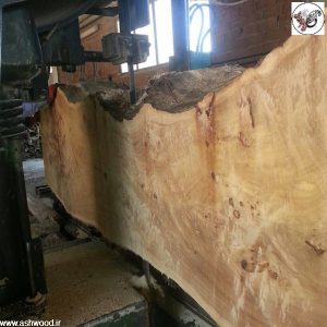 چوب و ریشه ، روکش مازل ، ساخت دکوراسیون چوب ی با روکش منحصر به فرد مازل