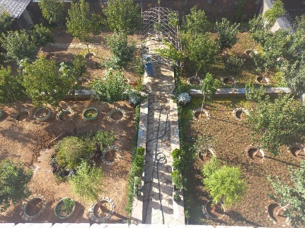 باغچه با چهار قسمت مساوی از ویژگی های خانه باغ های ایرانی است