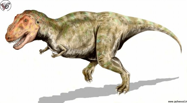 تیرانازور از بزرگترین شکارچیانی بود که در دوره کرتاسه پسین می‌زیست