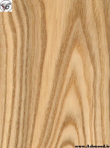  چوب ملچ , قیمت چوب ملچ , رنگ ملچ , روکش ملچ , سرویس خواب ملچ , چوب ملچ گرگان , چوب ملچ چه نوع چوبی است , چوب اوجا , انواع چوب