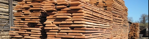 چوب راش , راههای تشخیص چوب راش , عکس چوب راش