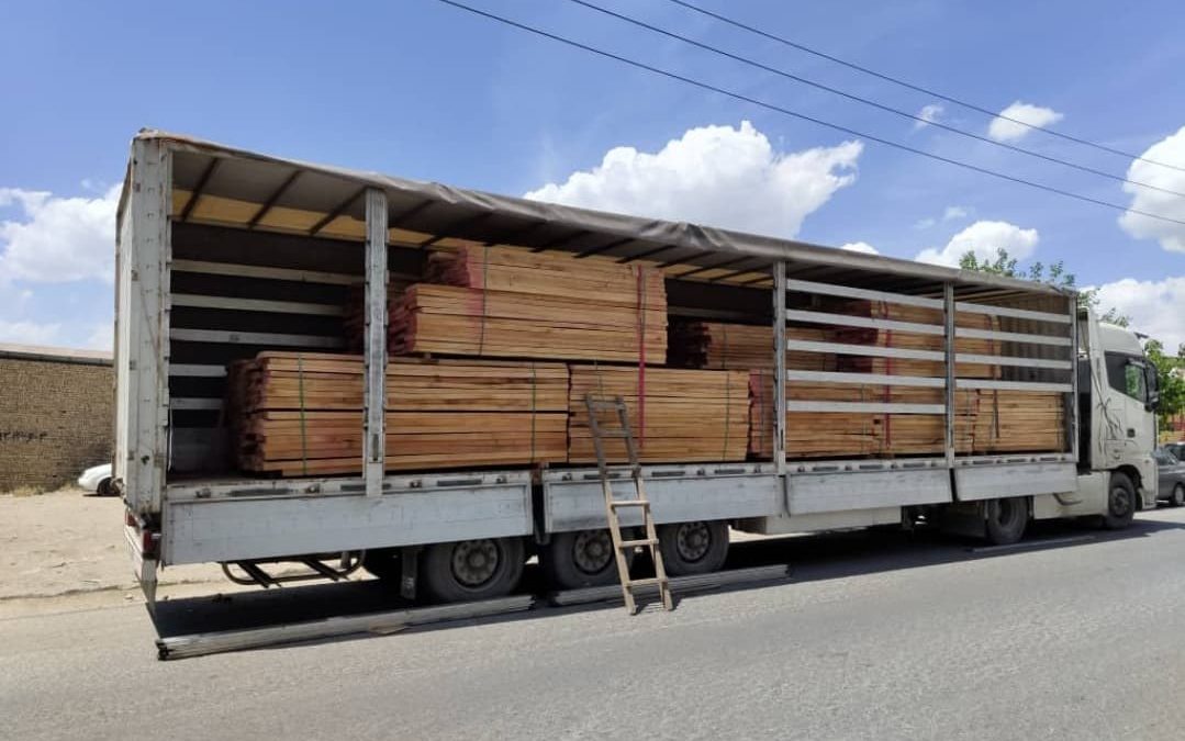فروش چوب راش گرجستان برای پروژه‌های چوبی؛ راهنمای انتخاب و سفارش مستقیم