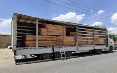 فروش چوب راش گرجستان برای پروژه‌های چوبی؛ راهنمای انتخاب و سفارش مستقیم