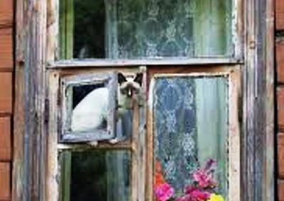 ساخت پنجره های سنتی چوب و شیشه رنگی ( اوج زیبایی و شادابی در معماری ایران زمین )