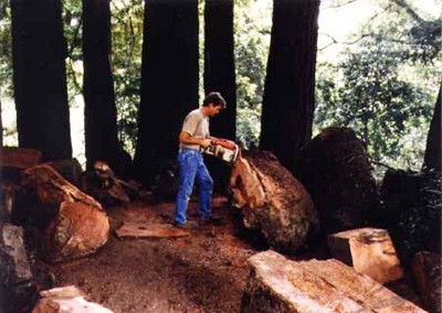 هنر چوبی در زمینه کار با تنه درختان بزرگ برای دکوراسیون چوبی