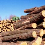 دکوراسیون چوبی , صنایع چوب ، انجمن سوال و جواب