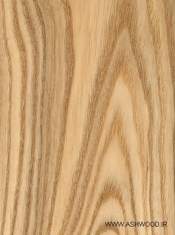 عکس انواع چوب , چوب ون , چوب زبان گنجشک , چوب عش , چوب اش ,
