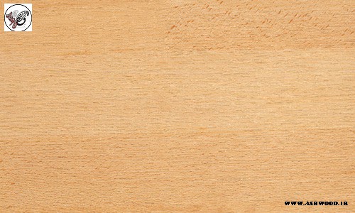 گالری عکس چوب راش , مشخصات ظاهری چوب راش