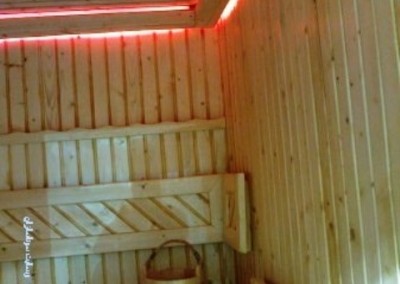 best sauna farbod farwood04