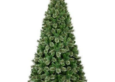 بابا نوئل کریسمس 2019 و درخت کاج