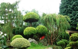 تزئین باغچه به سبک ژاپنی