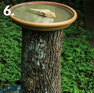 همه چیز راجع به تنه ی درخت -  ساخت حمامی برای پرنده ها با تنه ی درخت