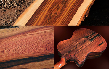 چوب سرخ- چوب بلسان بنفش و گیتار ساخته شده از آن