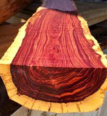 دالبرگیا چوب شیشم یک چوب جالب و عجیب