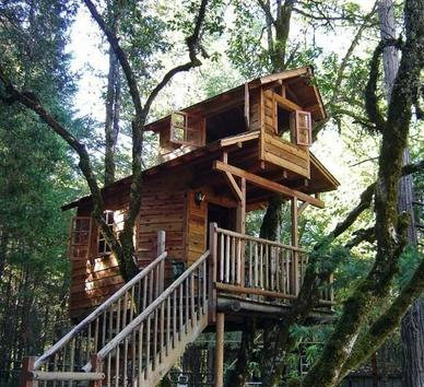 خانه چوبی درختی , ایده های جالب