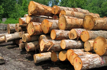 انواع چوب- الوارهای چوب