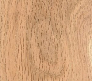 انواع چوب- چوب بلوط