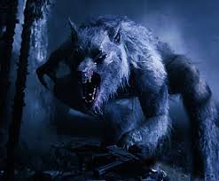 گرگ‌نما (Werewolf)