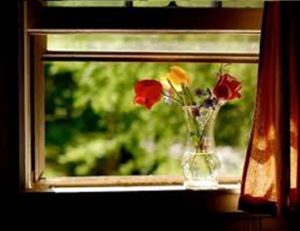 گلدان‌های پشت پنجره