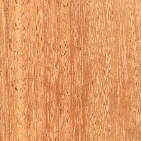 معرفی انواع چوب کمپاس چوب گیلاس اندونزی