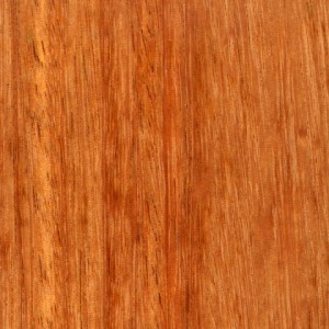 معرفی انواع چوب کمپاس چوب گیلاس اندونزی