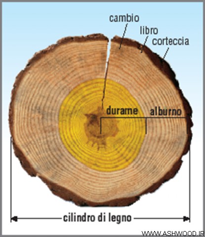 چوب اکومه چیست 