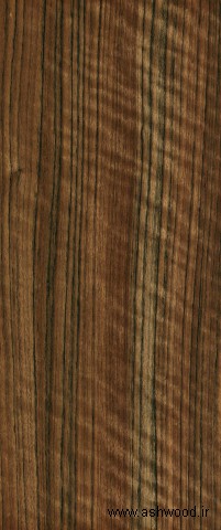 Ovangkol انواع چوب و روکش چوب طبیعی