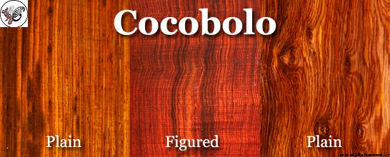 cocobolo یا رزوود یک چوب از درختی در منطقه جنگلی گرمسیری آمریکای مرکزی