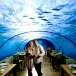 یک کلوپ شبانه در زیر آب، و رستوران زیر آب در کنراد