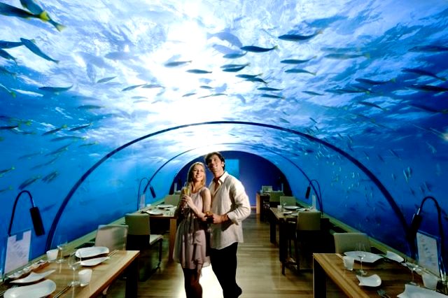 یک کلوپ شبانه در زیر آب، و رستوران زیر آب در کنراد