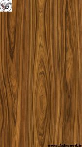 مشخصات انواع چوب , قیمت انواع چوب , ایده عکس انواع چوب , شناخت انواع چوب شگفت انگیز , چوب راش, چوب روسی